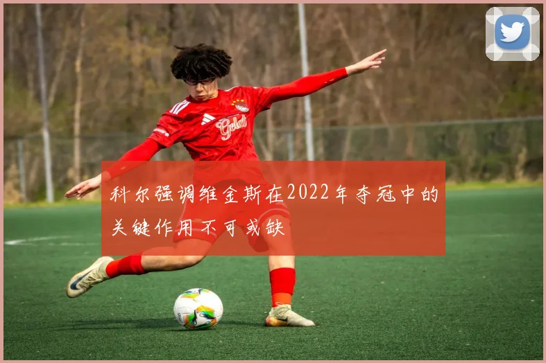 科尔强调维金斯在2022年夺冠中的关键作用不可或缺