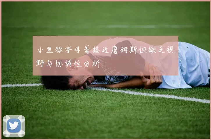 小里称字母哥接近詹姆斯但缺乏视野与协调性分析