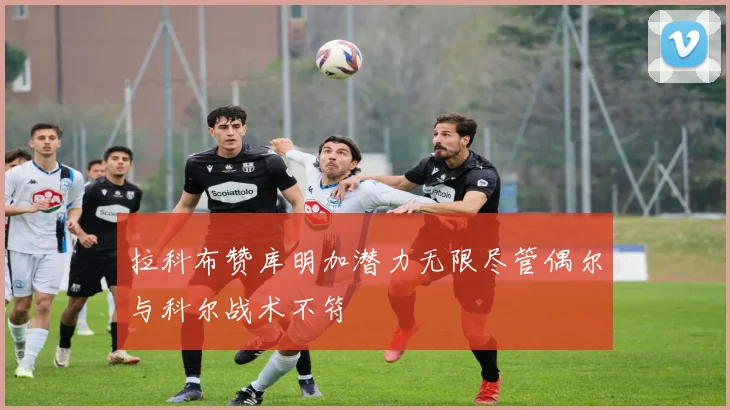 拉科布赞库明加潜力无限尽管偶尔与科尔战术不符
